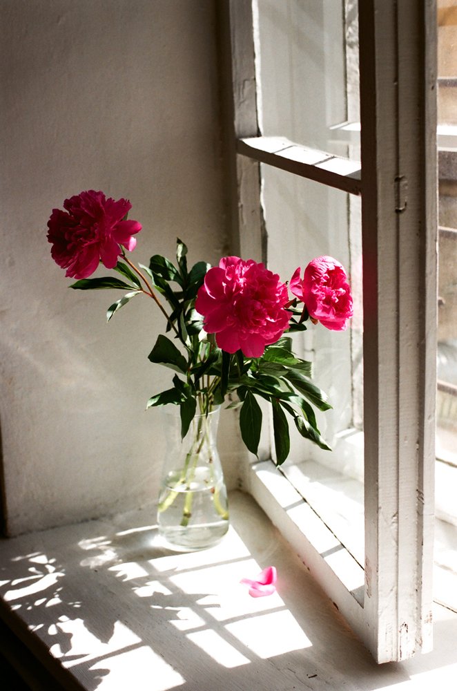 Photograph by Наталья Жук