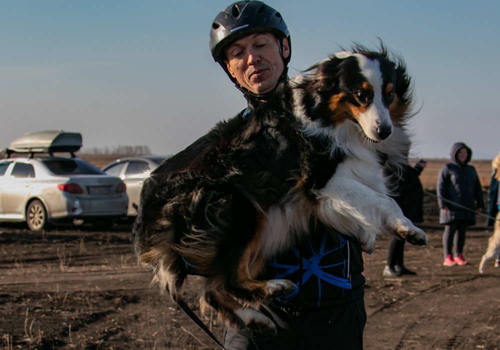 Photograph by Валерий Шорохов