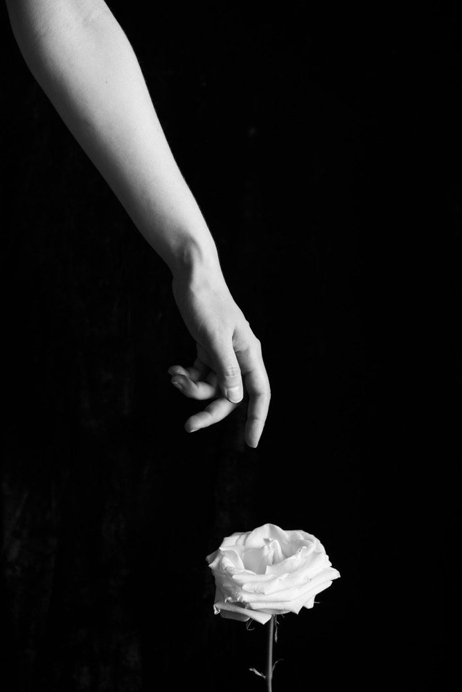 Photograph by Наталья Жук