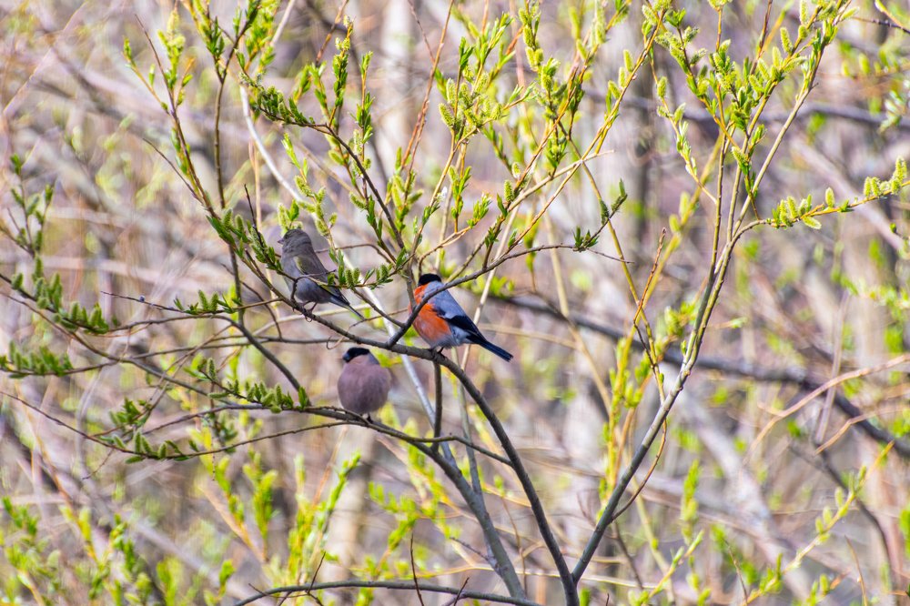 Photograph by Илья Тильман