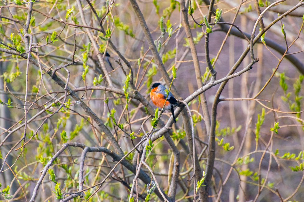 Photograph by Илья Тильман