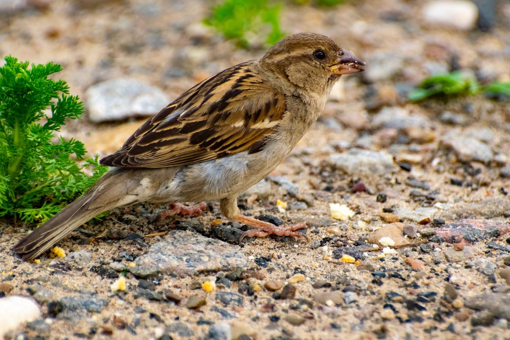 Photograph by Илья Тильман