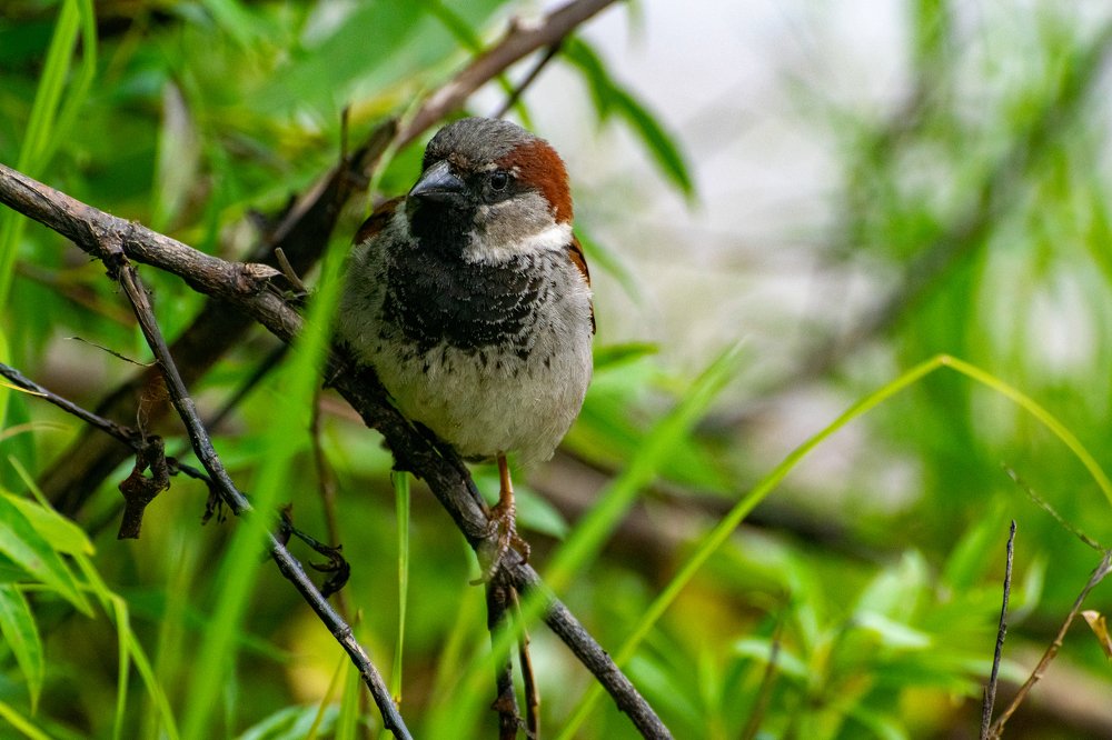 Photograph by Илья Тильман