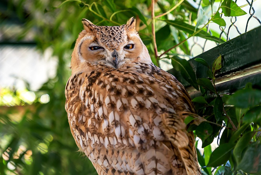 Photograph by Elena Gebert