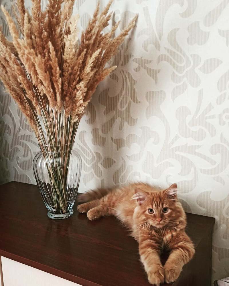 Фотография автора Александр Федоренко