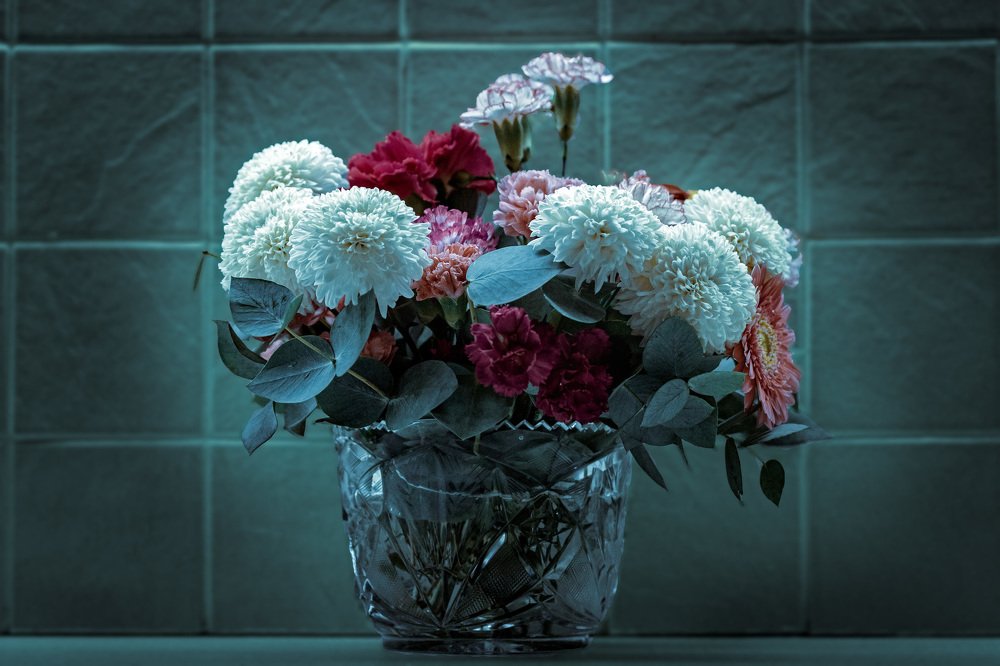 Photograph by Tamar Riabukha