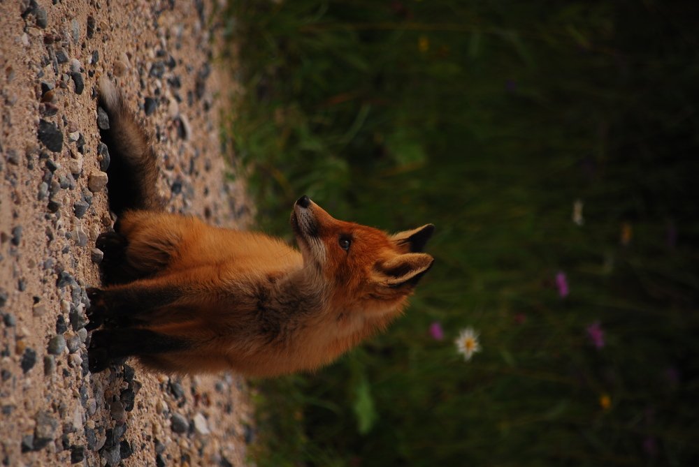 Photograph by Дмитрий Кривойван