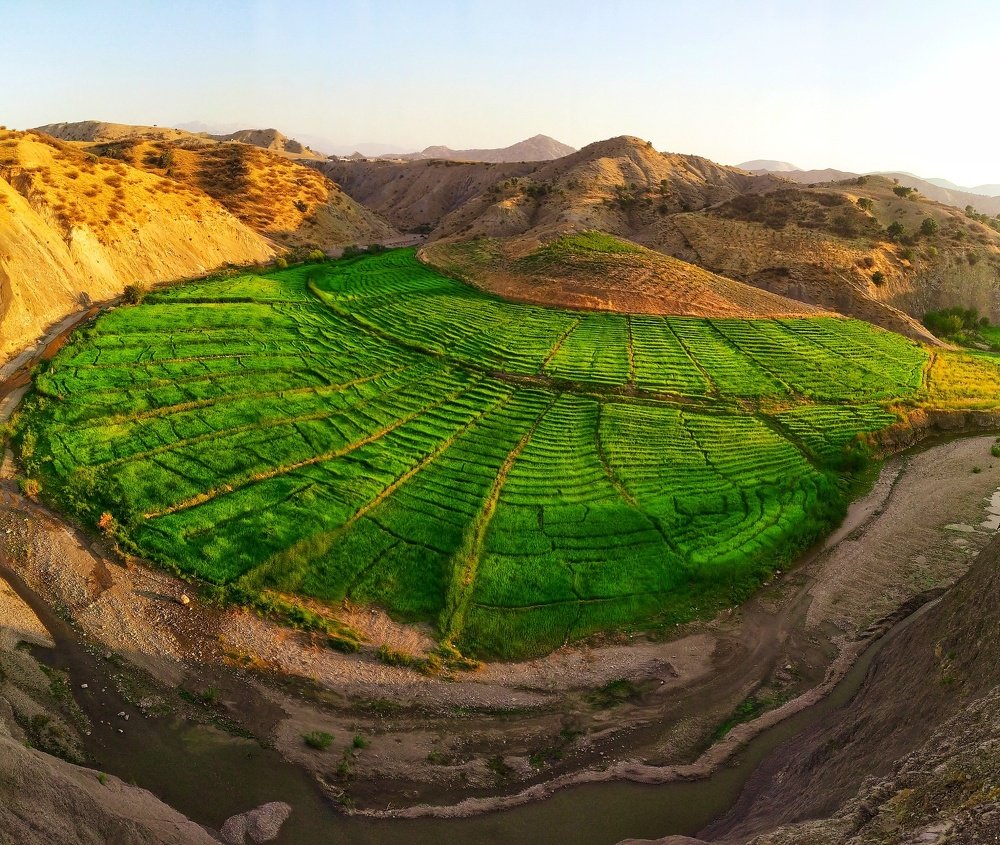 Photograph by Yahya Kakapour