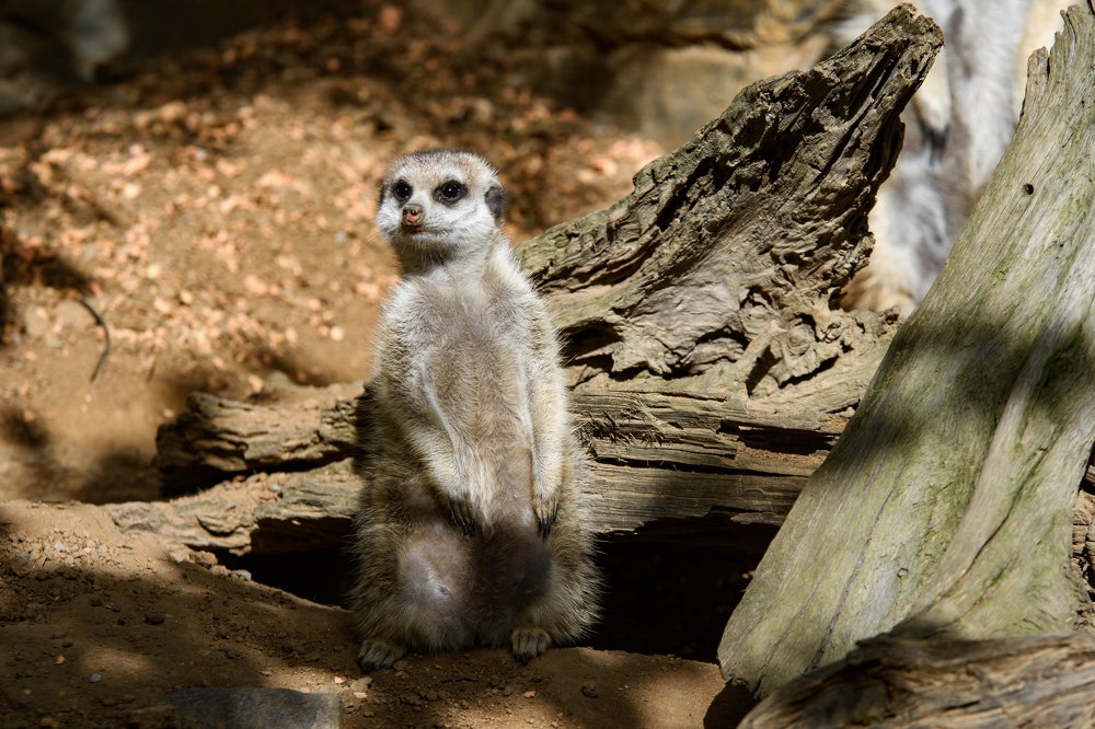 Photograph by Демьян Лопатов