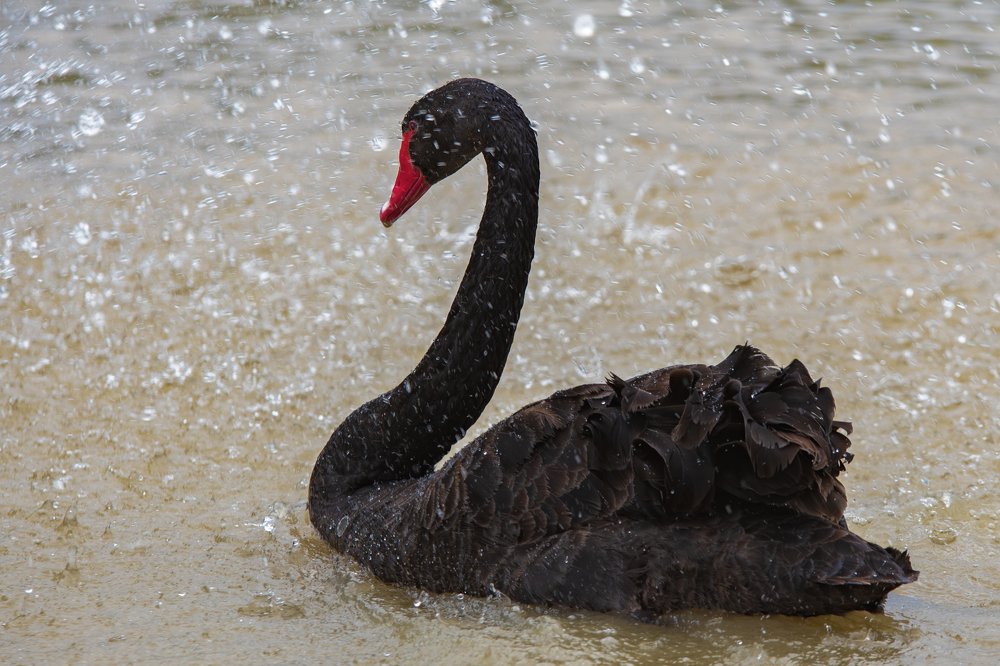 Photograph by Демьян Лопатов