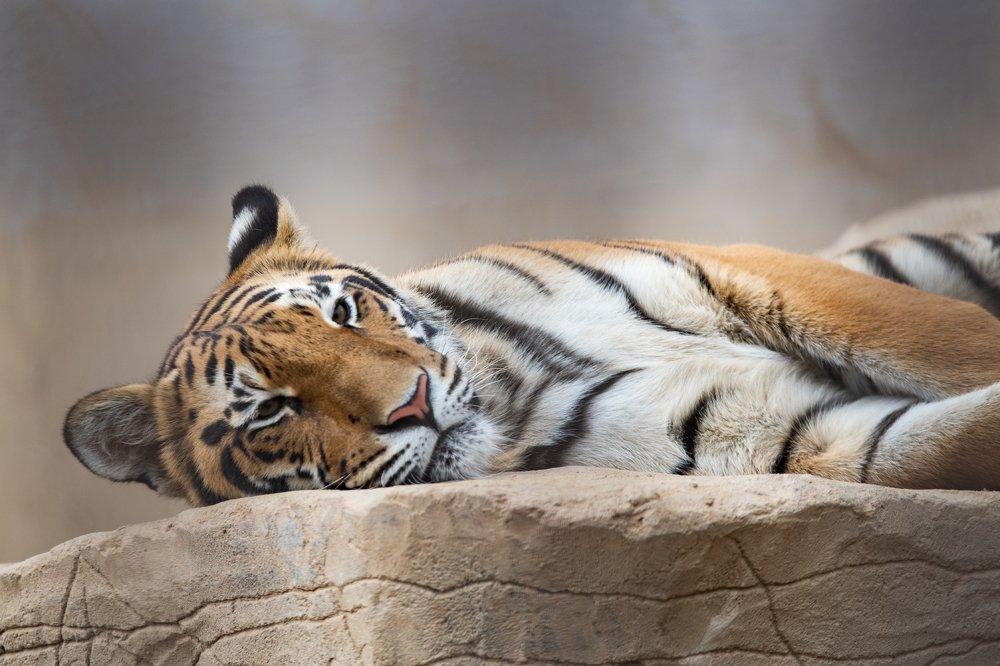 Photograph by Демьян Лопатов