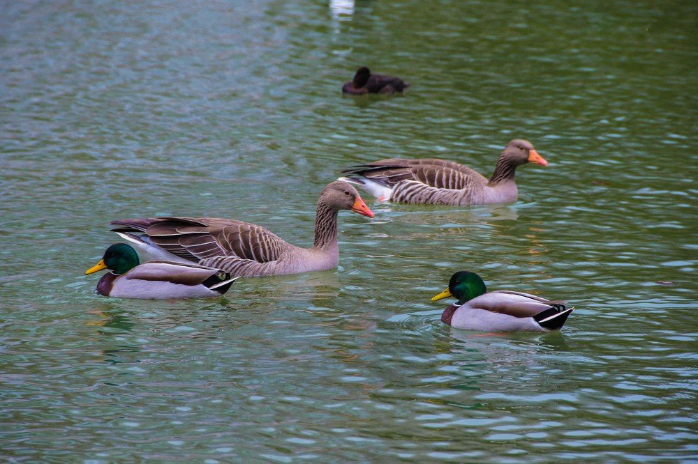 Photograph by KHALIFA MOHAMED