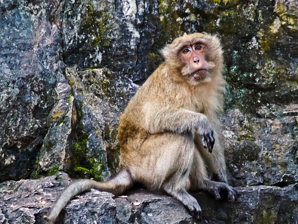 Фотография автора Ольга Виноградова