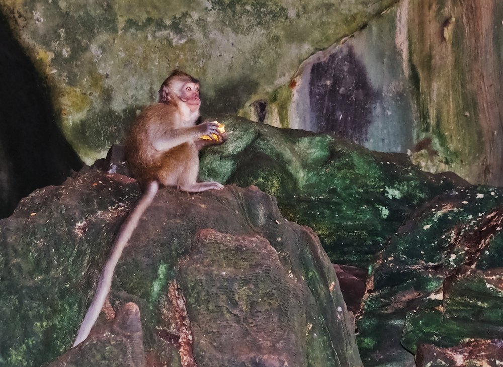 Фотография автора Ольга Виноградова