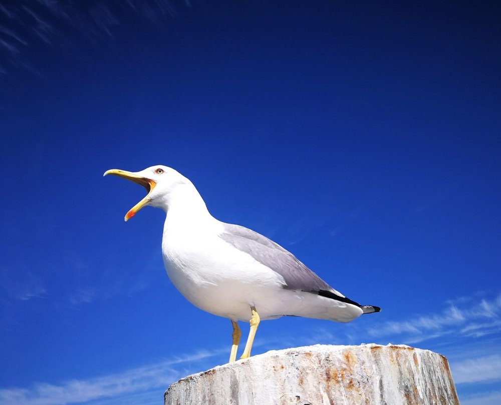 Photograph by Иван Шатный