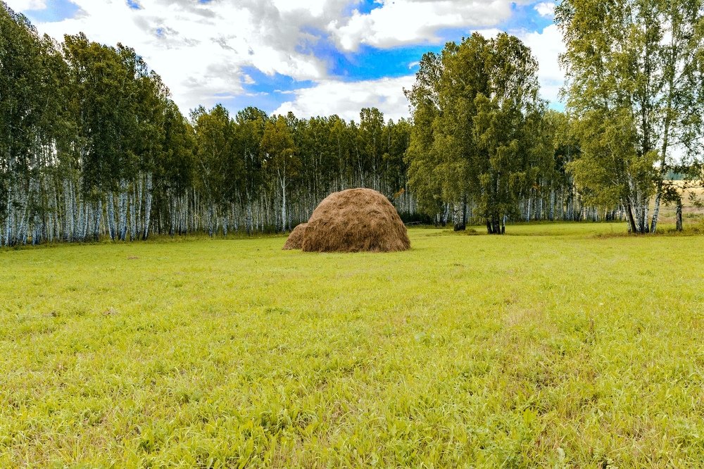 Photograph by Роман Воробьев