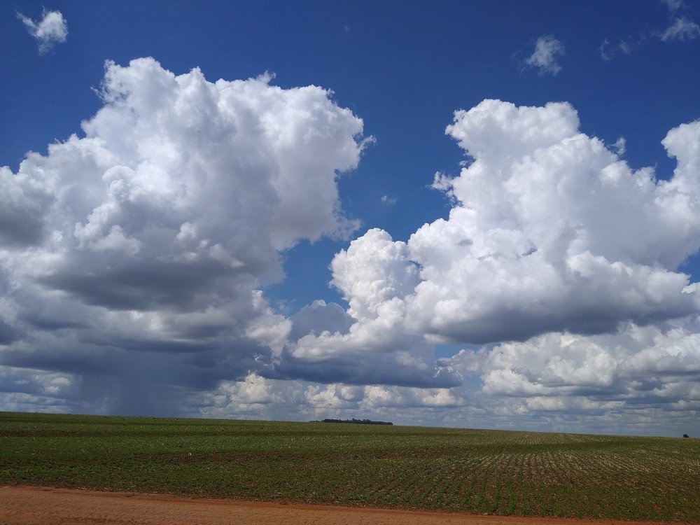 Photo #4858856