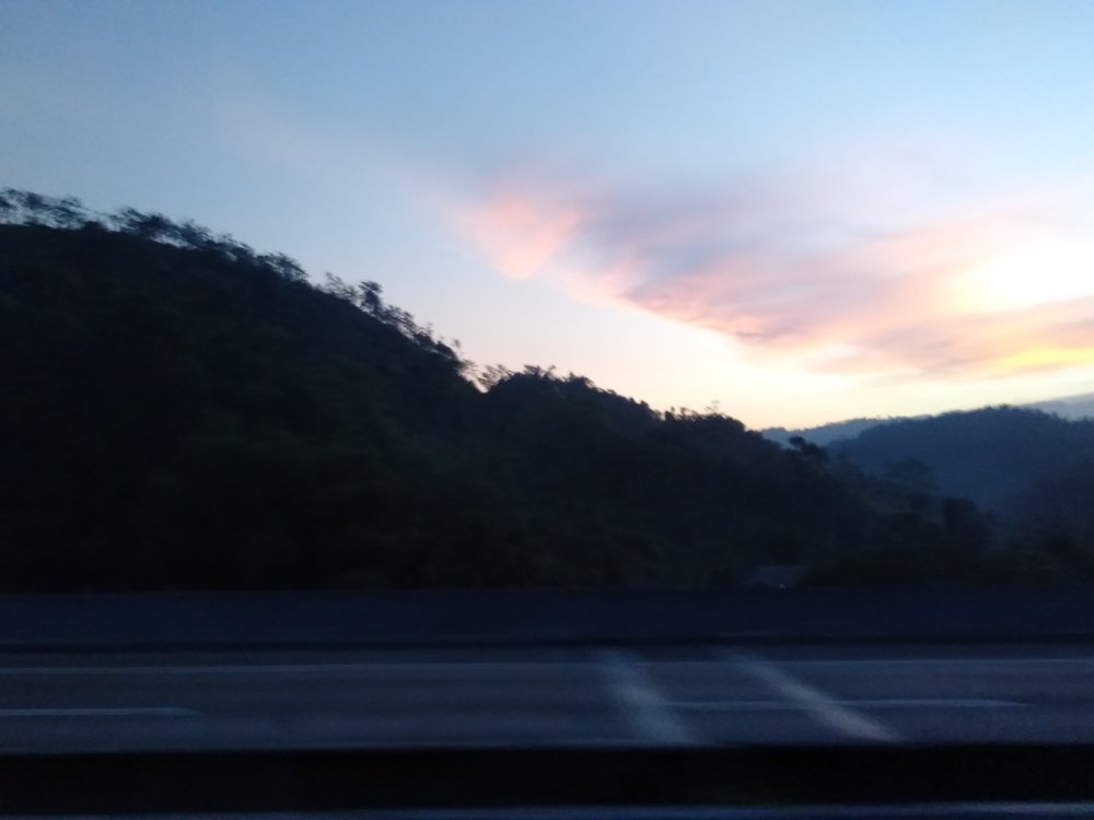 Photo #4858861