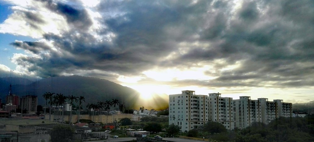 Photo #4858888