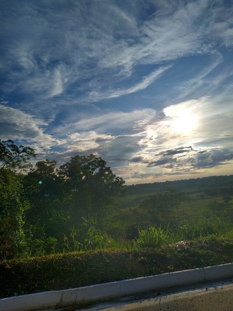 Photo #4858889