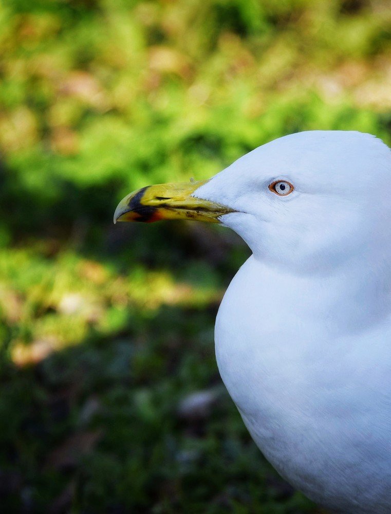 Photograph by Namrata Vedi