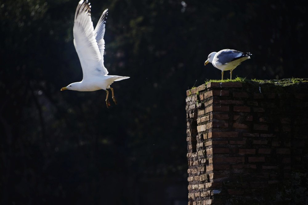 Photograph by Namrata Vedi