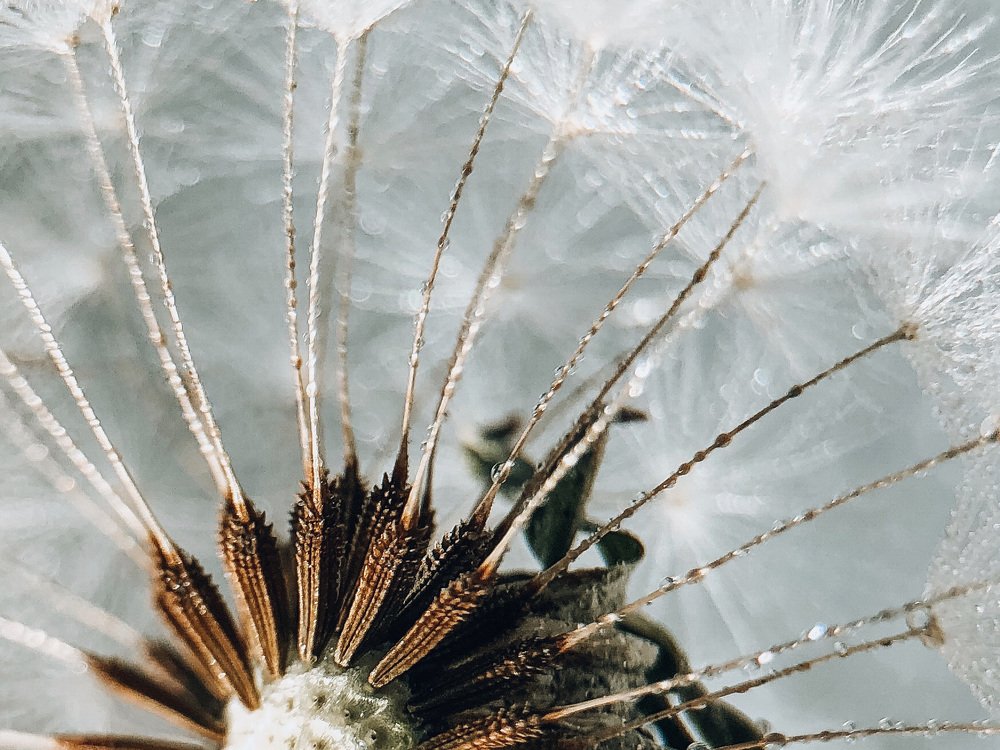 Photograph by Татьяна Левашова