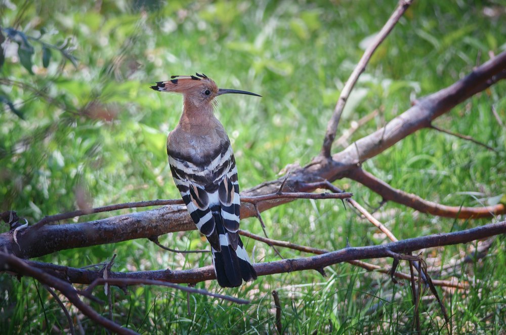 Photograph by Сергей Алтуфьев