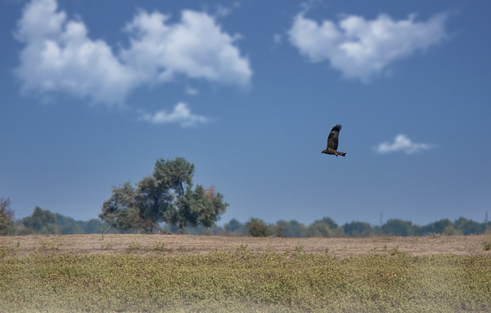 Photograph by Сергей Алтуфьев
