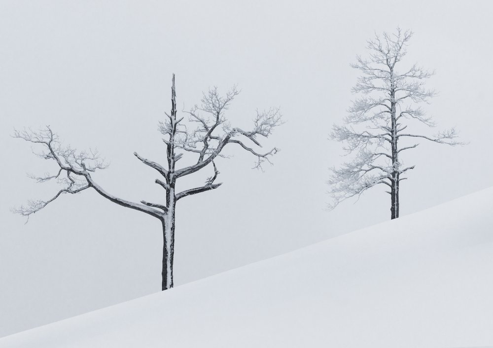 Photograph by Евгений Гецев