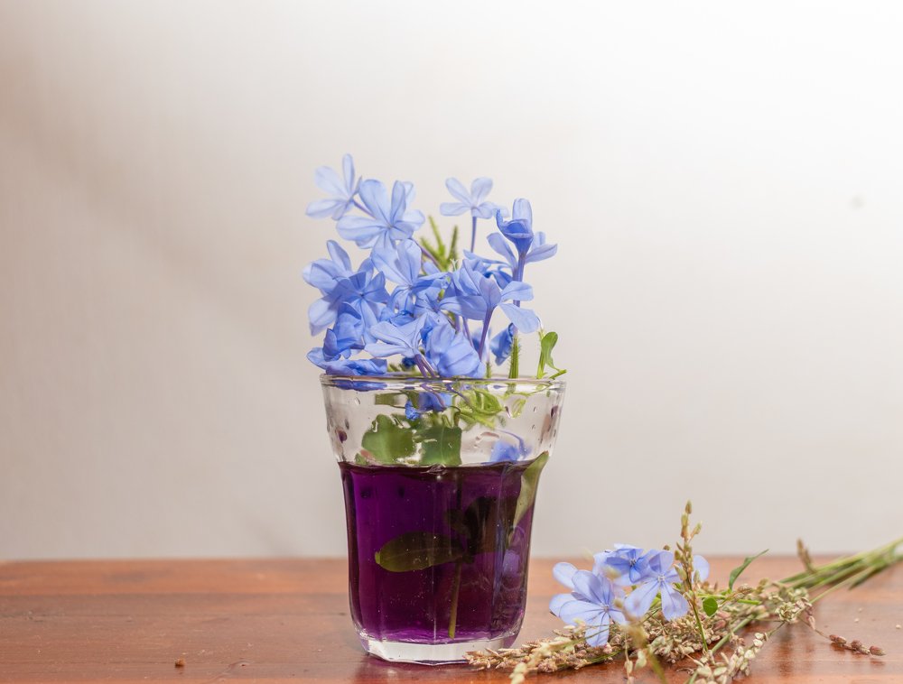 Photograph by Pabasara Malinda