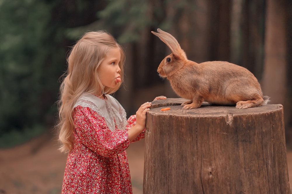 Фотография автора Елена Петрова