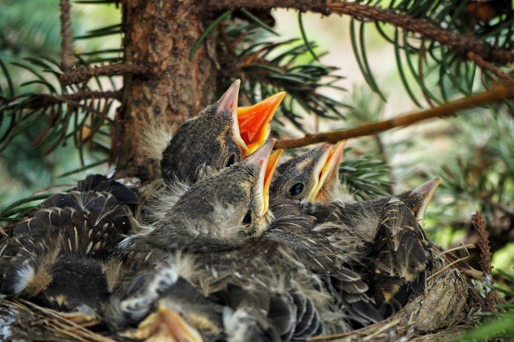 Photograph by Ирина