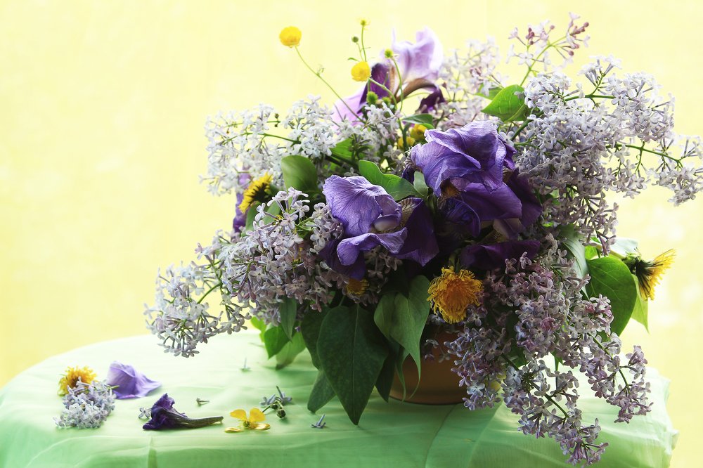 Photograph by Юлия Черкасова