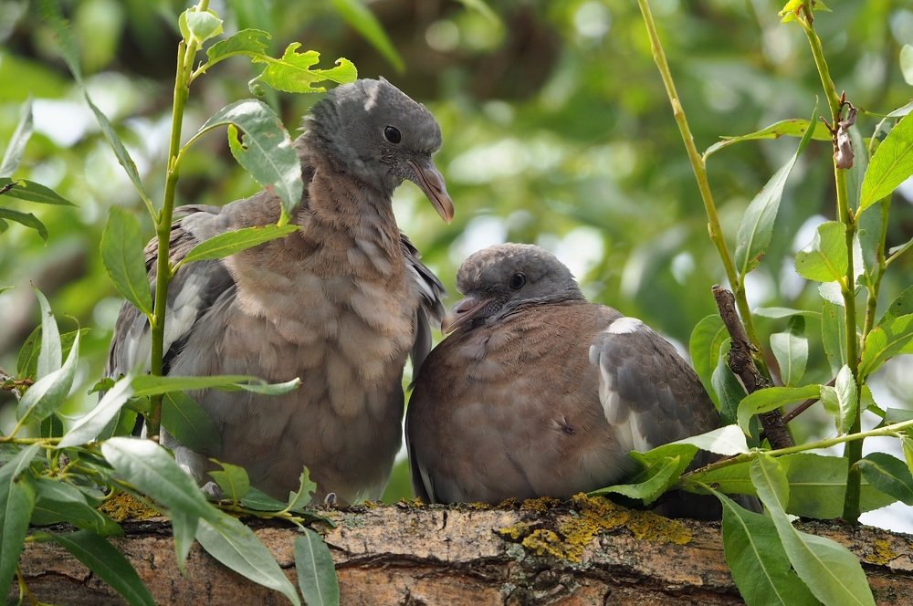 Photograph by Ирина