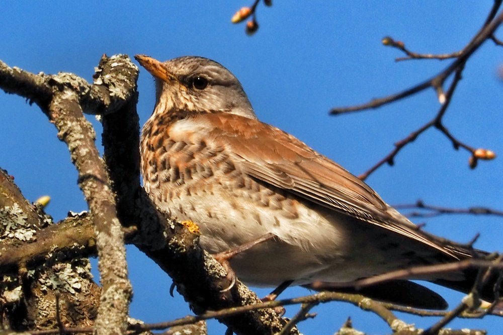 Photograph by Ирина