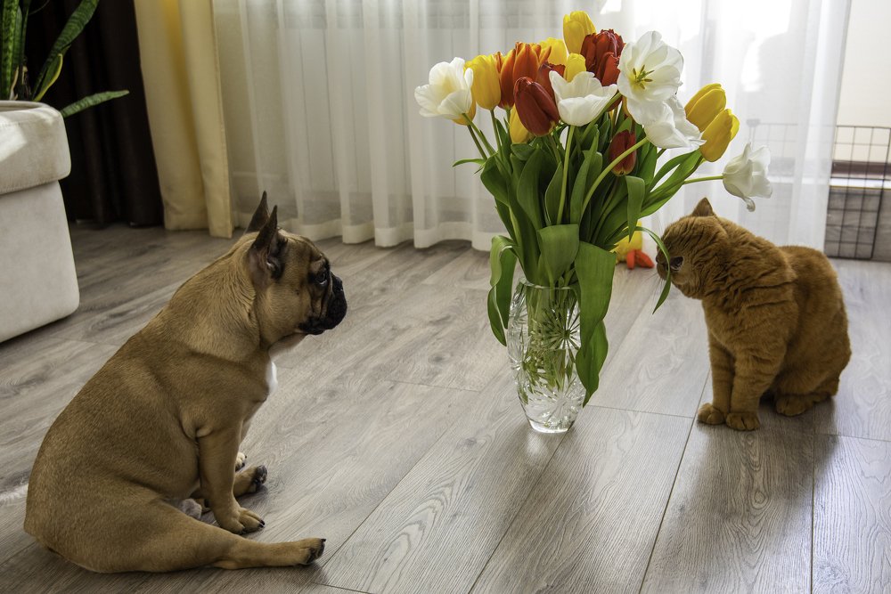 Photograph by Кадырова Марина