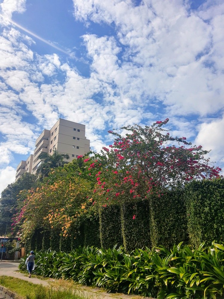 Photo #4859176