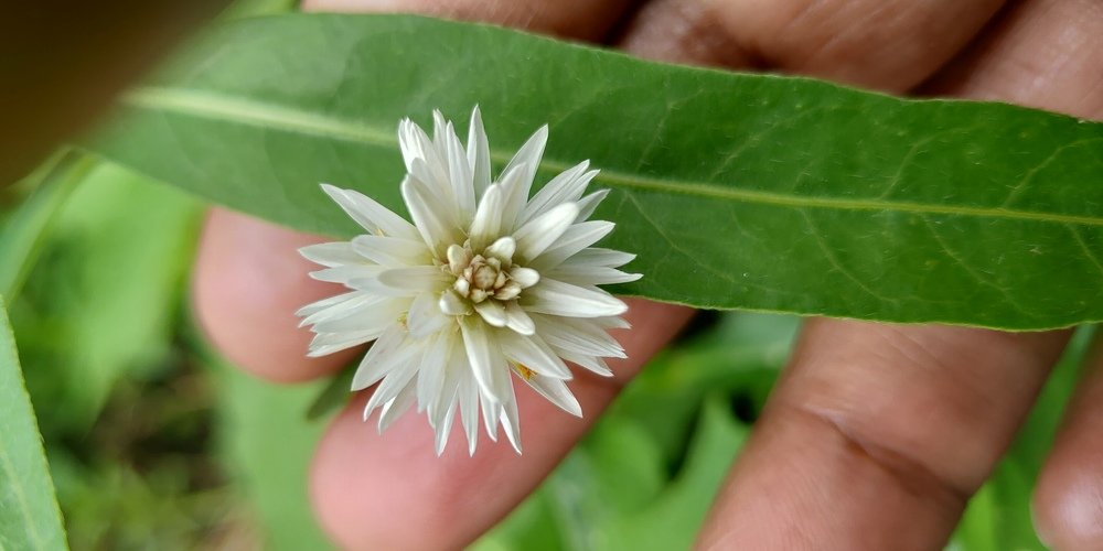 Photograph by Suraj Kumar