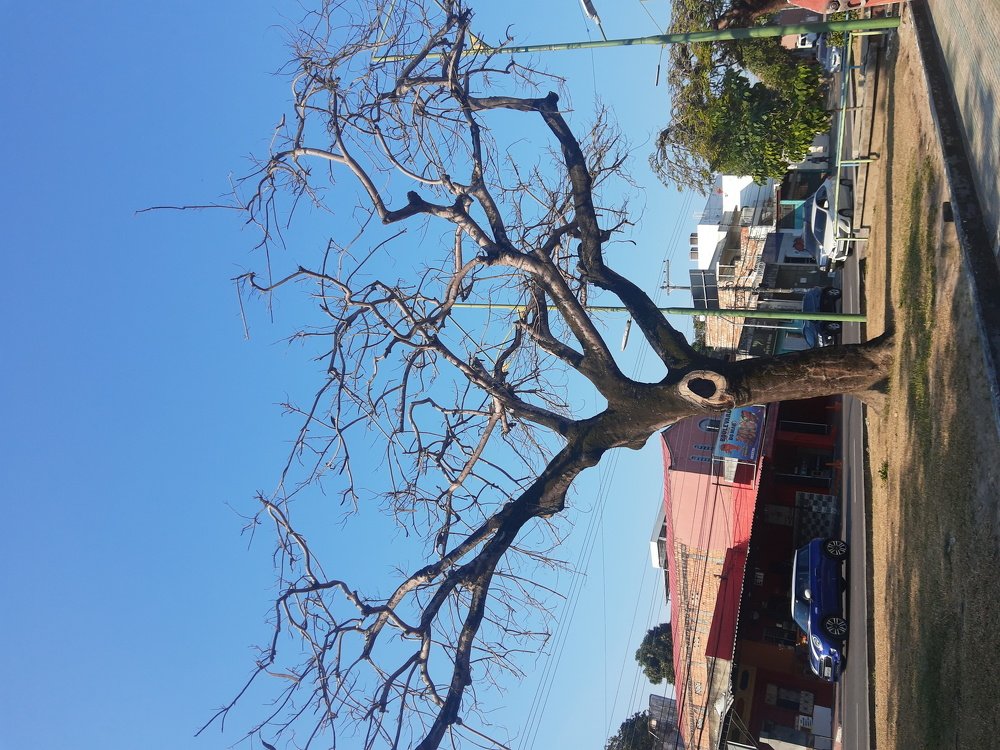 Photo #4859186