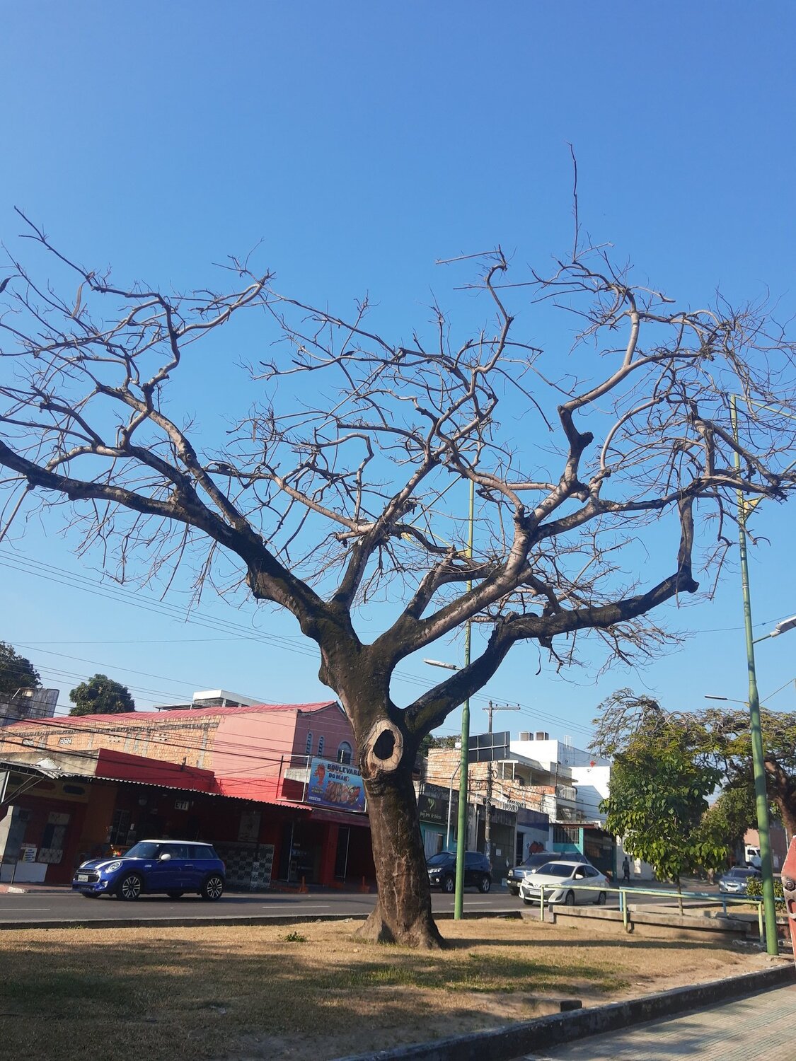 Photo #4859186