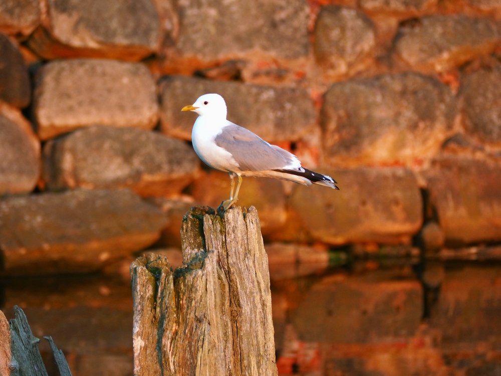 Photograph by Евгений Яковлев