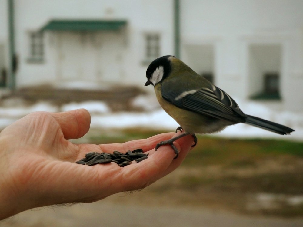 Photograph by Евгений Яковлев