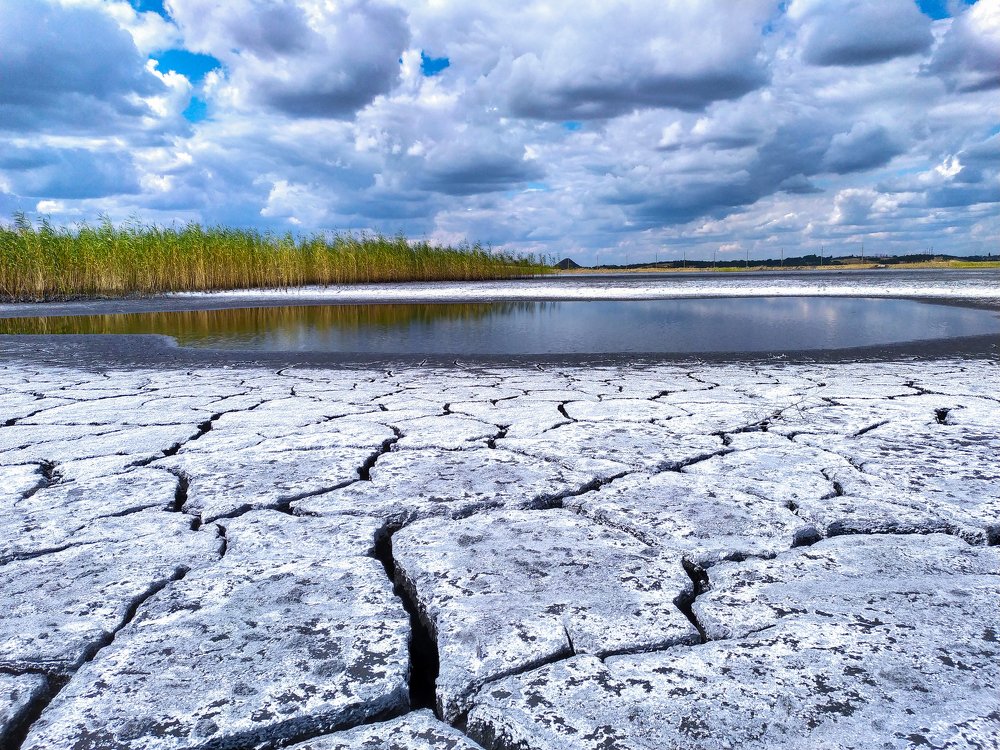 Photograph by Дина Горбачёва