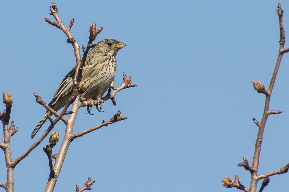 Photograph by Дина Горбачёва