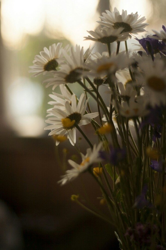 Photograph by Таня Короткова