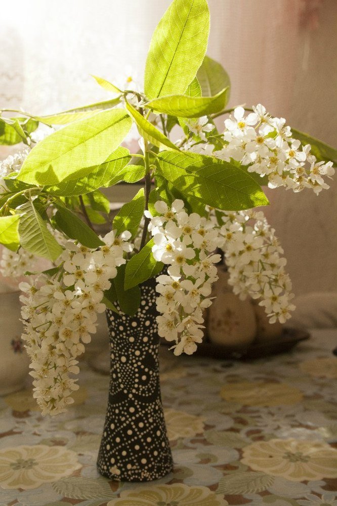 Photograph by Таня Короткова