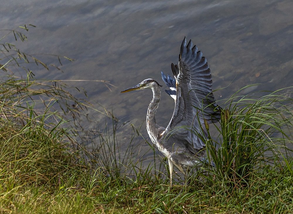 Photograph by Владимир Баулин