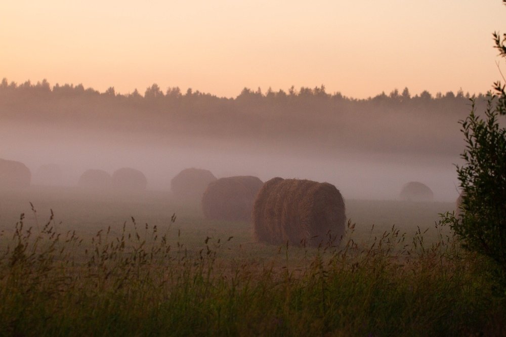 Photograph by Таня Короткова