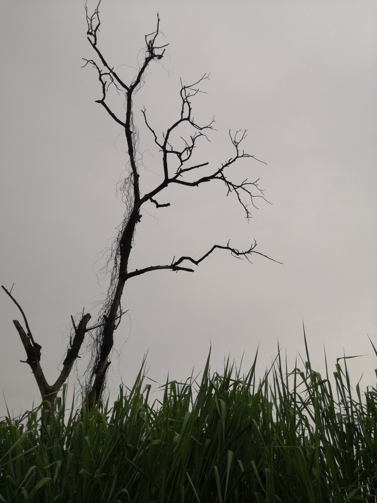 Photo #4859419